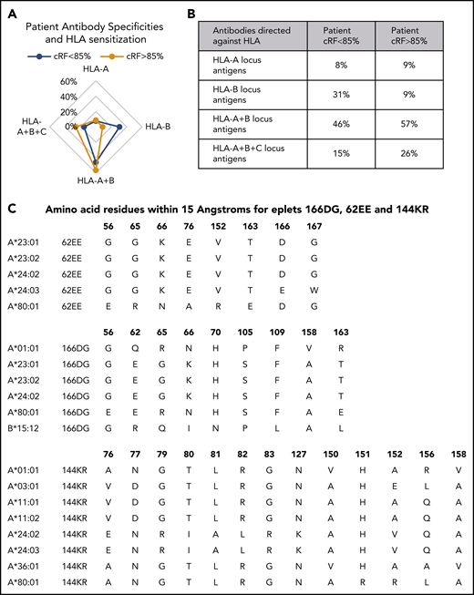 HLA antibody specification and target epitope identification. (A) Frequency of patient antibody specificities and degree of HLA sensitization as defined by CRFs of >80% vs <85%. (B) Percentage of patients with antibodies directed against specific and groups of HLA antigens and according to the degree of HLA sensitization. (C) Amino acid composition of eplet epitopes more frequently found in highly sensitized patients.