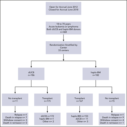 Randomization and treatment. dUCB, double umbilical cord blood; haplo-BM, HLA-haploidentical bone marrow.