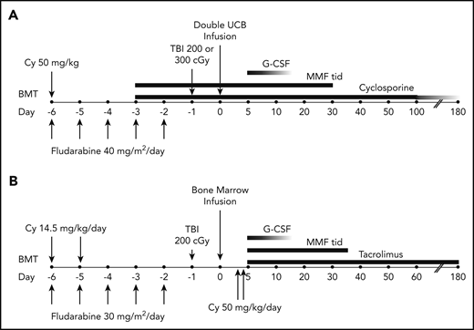 Treatment schema. For patients receiving umbilical cord blood (UCB) (A) or HLA-haploidentical bone marrow (B). BMT, blood or marrow transplantation; Cy, cyclophosphamide; G-CSF, granulocyte colony-stimulating factor; MMF, mycophenolate mofetil; TBI, total-body irradiation; tid, thrice daily.