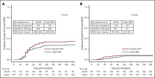 Cumulative incidences of acute GVHD. (A) Acute grades II-IV GVHD. (B) Acute grades III-IV GVHD. aGVHD, acute GVHD.