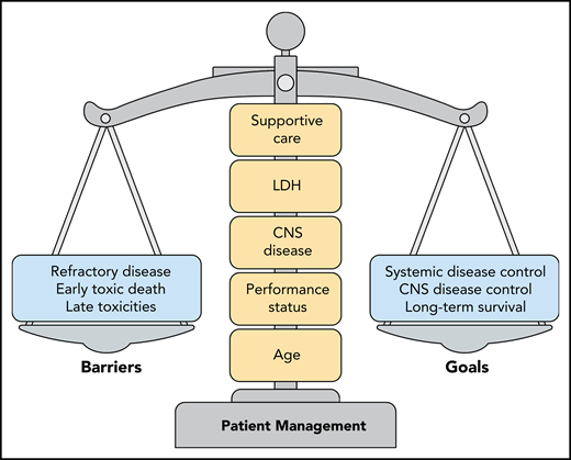 Optimal patient management strategies for adults with BL require a careful evaluation of prognostic factors. The primary barriers to achieving disease control and long-term survival are primary refractory disease, early toxic deaths related to therapy, and the risk of late toxicities. Overemphasis of a single factor can unfavorably tip this delicate balance. The factors that require careful consideration are a combination of patient-related factors (age, performance status), biology-related factors (CNS disease, LDH level), and the resources available for prompt implementation of intensive supportive care.