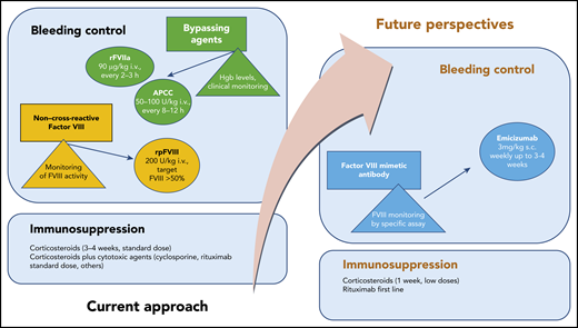 Recommended standard treatment and future perspectives in AHA. hgb, hemoglobin; i.v., intravenous; s.c., subcutaneous.