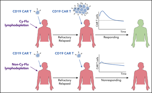 Schematic illustration of the outcomes of a second infusion of CD19 CAR T cells in patients who failed to adequately respond to the first infusion. The addition of Cy-Flu lymphodepletion before the first infusion and an increased CAR T-cell dose for the second infusion are independently associated with durable responses.
