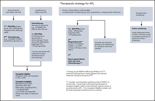 Therapeutic strategy for ATL.