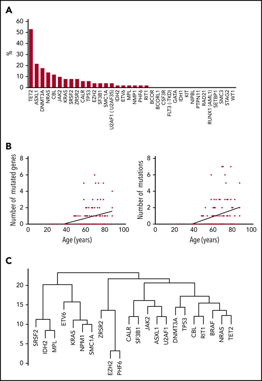 Clonal hematopoiesis in ECD. (A) Mutations (%) on each of the genes of the myeloid panel (BM samples), among patients with clonal hematopoiesis (n = 51). (B) Correlation between the number of mutated genes (y-axis, left) and total number of mutations (y-axis, right) and age at BM aspirate (x-axis). (C) Dendrogram plot of mutations in 51 patients.
