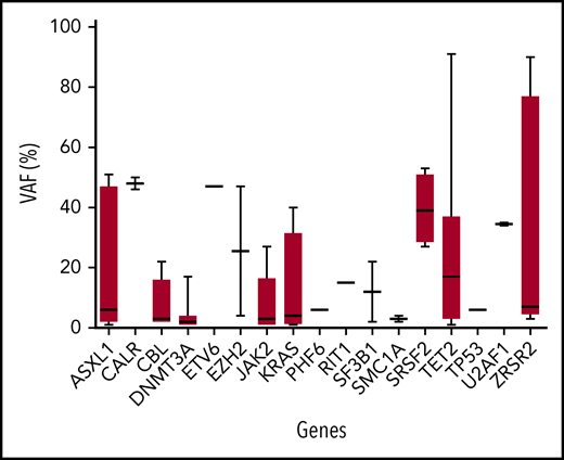 VAF of mutated genes. Box shows median, 25th, and 75th percentiles. Whiskers show minimal to maximal values. BM samples were used for genotyping. The full list of mutations with VAF is provided in supplemental Table 6.