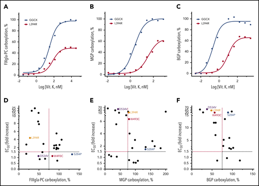 Effect of vitamin K on reporter protein carboxylation by GGCX mutations. (A-C) Vitamin K concentration titration of wild-type GGCX and the L394R mutant for the carboxylation of FIXgla-PC (A), MGP (B), and BGP (C). Wild-type GGCX or the L394R mutant was transiently expressed in GGCX-deficient HEK293 cells stably expressing FIXgla-PC, MGP, or BGP. Reporter-protein carboxylation was determined as described in Figure 1B. (D-F) Correlation between vitamin K’s EC50 and GGCX activity for the carboxylation of FIXgla-PC (D), MGP (E), and BGP (F) by GGCX mutations. The dashed lines indicate the 75% carboxylation activity (x-axis) or a 1.5-fold increase of vitamin K’s EC50. The GGCX mutations discussed in the main text were labeled with different colors.