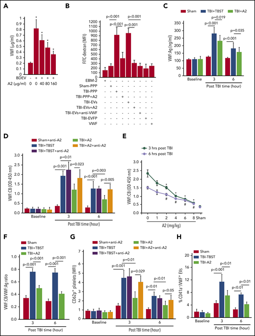 A2 blocked activated VWF in TBI mice. (A) HUVECs were incubated with BDEVs for 3 hours at 37°C with increasing doses of A2. The supernatants were collected and analyzed for VWF using ELISA (n = 25, 1-way ANOVA, *P < .01 vs untreated). (B) The culture medium (EBM-2), sham plasma (sham-PPP), plasma from TBI mice receiving TBST (TBI-PPP) or A2 (TBI-PPP+A2), purified EVs (TBI-EVs and TBI-EVs+A2), EV-free plasma (EVFP) from the TBI mice, and purified VWF were incubated with confluent HUVECs for 3 hours at 37°C. The HUVECs were washed and incubated with FITC-dextran (100 μg/mL) for 1 hour at 37°C to quantify FITC intensity in the bottom chamber (n = 56, 1-way ANOVA). (C,D) VWF:Ag (C) and VWF:CB (D) in plasma samples collected at 3 and 6 hours post-TBI (n = 36, 1-way ANOVA). (E) VWF:CB measured in mice receiving increasing doses of A2 (n = 12, 1-way ANOVA). (F) The VWF:CB-to-VWF:Ag ratio calculated for the 3 groups of mice (n = 21, 1-way ANOVA). (G) The expression of CD62p on platelets from sham mice and TBI mice receiving TBST or A2 (n = 21, 1-way ANOVA). (H) Plasma levels of platelet EVs with surface-bound VWF (CD41a+/VWF+, n = 21, 1-way ANOVA).
