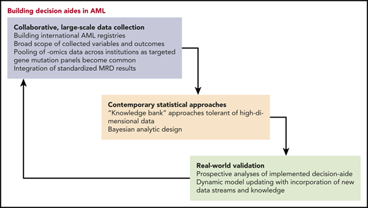 Building decision aides in AML.