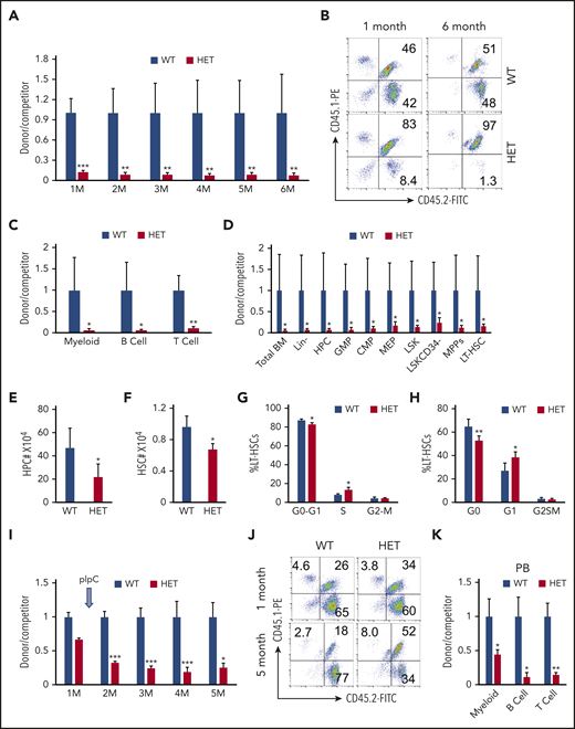 Loss of 1 allele of c-Myc impairs HSC repopulation capacity. (A-B) Flow cytometric analysis of donor-derived CD45.2+CD45.1− cells and WT competitor–derived CD45.1+ CD45.2+ cells in recipient WT mice. (A) The ratio of donor-derived to WT competitor–derived cells in PB in recipient mice 1 to 6 months after transplantation; (B) representative plots after transplantation. (C) Flow cytometric analysis of the ratio of donor-derived to WT competitor–derived myeloid cells, B cells, and T cells in PB in recipient mice 6 months after transplantation. (D) Flow cytometric analysis of the ratio of donor-derived to WT competitor-derived cell populations in BM in recipient mice 6 months after transplantation (n = 5). (E-F) Total number of HPCs (E) and HSCs (F) in WT and c-Myc HET–recipient mice at 4 months after induction of c-Myc deletion. (G) Flow cytometric analysis of cell cycle status in WT and c-Myc HET LT-HSCs in recipient mice, as determined by a BrdU incorporation assay (n = 5). (H) Flow cytometric analysis of cell cycle status in WT and c-Myc HET LT-HSCs in recipient mice. Cells were stained with Hoechst DNA dye and pyroninY RNA dye (n = 5). (I) Flow cytometric analysis of the ratio of donor-derived to WT competitor-derived cells in the recipient mice; (J) representative plots are shown 1 and 5 months after transplantation. pIpC was injected 1 month after transplantation. (K) Flow cytometric analysis of the ratio of donor-derived to WT competitor–derived myeloid cells and, B and T cells in PB in the recipient mice 5 months after transplantation (n = 5). *P < .05; **P < .01; ***P < .001, by Student t test.