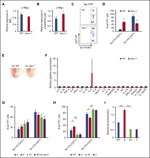 Endothelial cells in Apc-haploinsufficient mice block erythroid differentiation through IL6 secretion. qPCR analysis of c-Myc expression in MSCs (A) and endothelial cells (B) isolated from WT and Apc+/− mice. (C-D) Flow cytometric analysis of erythroid cells in Lin− BM cells cocultured with the endothelial cells from WT or Apc+/− mice in erythroid differentiation medium. Gating strategy (C); summary data (D). (E) Cell pellets of Lin− BM cells cocultured with the endothelial cells from WT or Apc+/− mice in erythroid differentiation medium. (F) Detection of cytokines in the supernatant of WT and Apc+/− endothelial cells. (G) Flow cytometric analysis of erythroid cells in Lin− BM treated with different concentrations of IL6. (H) Flow cytometric analysis of erythroid cells in Lin− BM cocultured with endothelial cells from WT, Apc+/−, Apc+/−cMyc+/−, or c-Myc+/− mice in erythroid differentiation medium. (I) Detection of IL6 concentration in the supernatant of WT, Apc+/−, Apc+/−cMyc+/−, or c-Myc+/− endothelial cells. *P < .05; **P < .01; ***P < .001, by Student t test.
