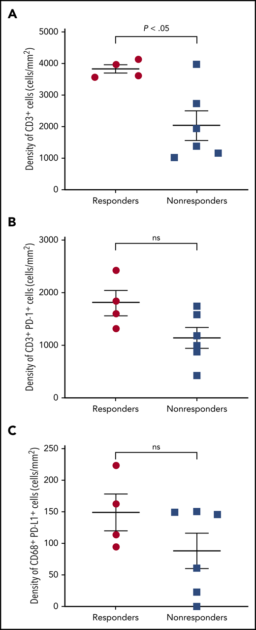 Multispectral immunofluorescence. (A) CD3, (B) CD3 and PD-1, and (C) CD68 and PD-L1 in patients with and without response to nivolumab. ns, not significant.