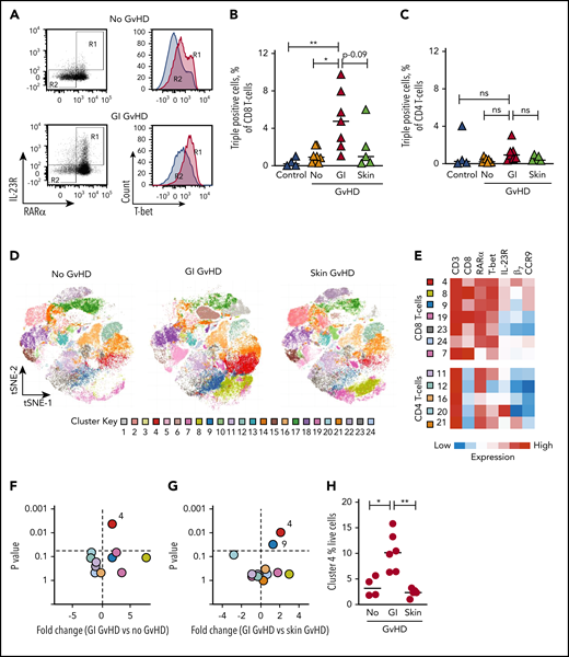 RARαhi effector T cells are also selectively expanded in the peripheral blood of GI-GVHD patients. (A) Representative dot plots and histograms of RARα, IL-23R, and T-bet expression on live CD8 T cells in peripheral blood of an allo-HSCT patient at onset of GI-GVHD and an allo-HSCT patient without GVHD from a similar time point. CD8 T cells coexpressing high RARα and IL-23R in boxed region R1 (left) expressed high levels of T-bet (right), whereas RARαdim/neg and IL-23Rneg CD8 T cells in boxed region R2 expressed low levels of T-bet. Percentage of live TP (B) CD8 and (C) CD4 T cells (coexpressing high RARα, T-bet, and IL-23R) in peripheral blood from healthy controls (n = 4) and allo-SCT patients with GI-GVHD (n = 7) or skin GVHD (n = 5) or without GVHD (n = 8) at matched time points. (D) Unsupervised phenotypic clustering of live mononuclear cells from samples depicted in panel B displayed as phenograph-generated t-distributed stochastic neighbor embedding (t-SNE) plots. Each cluster represents 1 of 24 phenotypically distinct T-cell subsets. (E) Heat map of relative expression levels of RARα, T-bet, IL-23R, and the GI-tropic molecules β7 and CCR9 of distinct CD3 T-cell clusters displayed in panel D. (F-G) Volcano plots depicting fold-change and statistical significance of abundance of distinct clusters within the peripheral blood live CD3 T-cell compartment from allo-HSCT patients with or without (F) GI-GVHD and with (G) GI- or skin GVHD. (H) Percentage of live mononuclear cells in cluster 4 in peripheral blood of allo-HSCT patients. Horizontal lines are medians. P > .10 indicates nonsignificant (ns) values. *P < .05; **P < .01, analysis of variance (ANOVA) with posttest correction for multiple comparisons (B,C,H) or Mann-Whitney U tests (F-G) .