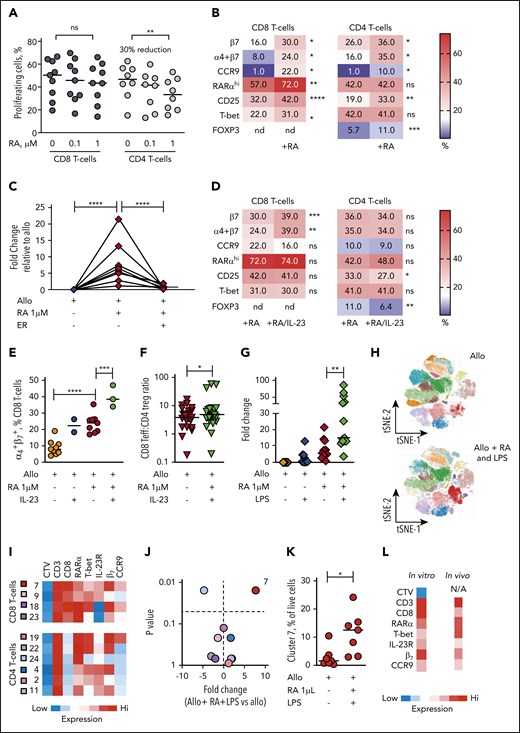 The dominant effect of RA on human alloresponses is to increase GI-tropic RARαhi CD8 effector T cells and is potentiated in IL-23–rich conditions. (A) Proportion of CD8 and CD4 T cells proliferating after allostimulation in the absence or presence of RA (0.1 and 1 µM). Results are shown for 9 independent experiments. (B) Heat map of percentage of alloproliferative CD8 and CD4 T cells expressing GI-tropic molecules, high RARα, the activation marker CD25, the effector T-cell transcription factor T-bet, and the CD4 regulatory T-cell transcription factor FOXP3 after allostimulation with or without exogenous RA (1 µM). Results depict median values for 6 to 25 independent experiments. (C) Fold-change in frequency of alloproliferative GI-tropic TP CD8 effector T cells (coexpressing high RARα, T-bet, IL-23R) after allostimulation with or without exogenous RA (1 µM) and the RARα-specific inhibitor ER-50891 (ER). Results depict 8 independent experiments. (D) Heat map of percentage of alloproliferative CD8 and CD4 T cells the molecules depicted in panel B after allostimulation with exogenous RA (1 µM) with or without IL-23. Results depict median values for 12 to 27 independent experiments except for α4β7 coexpression (3 independent experiments). (E) Percentage of live alloproliferative CD8 T cells expressing both α4 and β7 integrins allostimulated with or without exogenous RA (1 µM) with or without IL-23. Results depict 3 to 9 independent experiments. (F) Ratio of live alloproliferative cells with a CD8 effector T-cell (Teff):CD4 regulatory T-cell (Treg) phenotype after allostimulation with exogenous RA (1 µM) with or without IL-23. Results depict 24 independent experiments. (G) Fold-change in frequency of live alloproliferative GI-tropic TP CD8 effector T cells after allostimulation with or without exogenous RA (1 µM) and/or LPS. Results depict 13 independent experiments. (H) Unsupervised phenotypic clustering of live PBMCs after allostimulation with or without exogenous RA (1 µM) and LPS displayed as phenograph-generated tSNE plots. Clusters are derived from 7 independent experiments. (I) Heat map of relative expression levels of RARα, T-bet, IL-23R, and the GI-tropic molecules β7 and CCR9 of distinct cell trace violet (CTV)dim alloproliferative CD3 T-cell clusters. (J) Volcano plot depicting fold-change and statistical significance of abundance of distinct T-cell clusters within live PBMCs allostimulated with or without RA (1 µM) and LPS. Cluster colors are depicted in panel I. (K) Percentage of live mononuclear cells in cluster 7 in PBMCs allostimulated in the presence or absence of RA and LPS. (L) Phenotypic heat map for in vitro cluster 7 in human PBMCs allostimulated with RA and LPS. The phenotype for cluster 4 seen in peripheral blood of GI-GVHD patients is also shown for comparison. Horizontal lines are medians. nd, not done. *P < .05; **P < .01; ***P < .001; ****P < .0001, Wilcoxon matched pairs signed-rank test (B,D,E,J-K) or mixed effects models with posttest correction (A,C,E,G).
