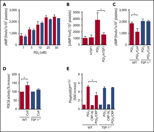 Platelet-derived TSP-1 modulates intracellular cAMP levels by increasing PDE3 activity. (A) WT (red) and TSP-1−/− (blue) platelets (2 × 108 platelets/mL) were treated with PGI2 (0-50 nM) for 1 minute and lysed before intracellular cAMP concentrations were measured. Mean ± standard error of the mean (SEM) (N = 5). (B) TSP-1−/− (red) platelets (2 × 108 platelets/mL) were treated with PGI2 (100 nM) for 1 minute in the presence or absence of human TSP-1 (hTSP-1; 10 μg/mL) and lysed before intracellular cAMP concentrations were measured. Mean ± SEM (N = 5, *P < .05, Mann-Whitney U test2). (C) WT (red bars) and TSP-1−/− (blue bars) platelets (2 × 108 platelets/mL) incubated with apyrase were treated with PGI2 (10 nM) alone for 2 minutes or stimulated with collagen (10 μg/mL) 1 minute after PGI2 treatment. Reactions were stopped with lysis buffer, and intracellular cAMP levels were measured by using enzyme-linked immunosorbent assay. Intracellular cAMP levels are presented as mean ± SEM (N = 6; *P < .05, Mann-Whitney U test2). (D) WT (red bars) and TSP-1−/− (blue bars) platelets (5 × 108 platelets/mL) incubated with apyrase were stimulated with collagen (20 μg/mL) for 1 minute before stopping the reaction with lysis buffer. PDE3A was immunoprecipitated, and enzyme activity was measured. Data are presented as percent activity above basal and given as mean ± SEM (N = 6; P < .05). (E) Whole blood from WT (red bars) and TSP-1−/− (blue bars) mice were incubated with apyrase and treated with PGI2 (10 nM) alone for 2 minutes or stimulated with CRP-XL (10 μg/mL) for 1 minute after PGI2 treatment. Blood was fixed, permeabilized, and incubated with anti-VASPSer157 followed by secondary fluorescent-conjugate (Alexa 647) and analyzed by flow cytometry. Data are presented as mean ± SEM fold increase in phosph-VASPSer157 over basal (N = 4; P < .03, *P < .05, Mann-Whitney U test).