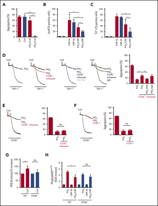 Platelet-derived TSP-1 modulates PDE3 activity in a CD36-dependent manner. (A) Platelet-rich plasma (PRP) from WT and CD36−/− mice (treated with apyrase) were stimulated with collagen (10 μg/mL), in the presence or absence of PGI2 (5 nM), and aggregation was measured. Mean ± standard error of the mean (SEM) (N = 5, **P < .01, Mann-Whitney U test). (B) PRP from WT and CD36−/− mice (treated with apyrase) were treated with PGI2 (10 nM) for 1 minute before stimulation with CRP-XL (5 μg/mL) for 20 minutes, and JonA binding was measured by using flow cytometry (N = 7; P < .05). (C) As in (B), except TLT-1 surface expression was measured (N = 7; P < .05). (D) PRP from TSP-1−/− (treated with apyrase) was stimulated with collagen (10 μg/mL) in the presence and absence of PGI2 (5 nM) for 1 minute and aggregation measured. In some cases, platelets were pretreated with CD36-derived releasates and the CD36 receptor blocking antibody FA6.152 (2 μg/mL) or CD36-derived releasates and immunoglobulin G (IgG) (2 μg/mL). Percentage aggregation is presented as mean ± SEM (N = 5; **P < .01 compared with platelets treated with thrombin and PGI2, Mann-Whitney U test). (E) PRP from CD36−/− mice (treated with apyrase) was stimulated with collagen (10 μg/mL) or treated with PGI2 (5 nM) for 1 minute before stimulation in the presence or absence of CD36-derived releasates. Platelet aggregation is presented as mean ± SEM (N = 6). (F) As in (E), except platelets were treated with human TSP-1 (hTSP-1) (10 µg/mL). (G) WT and CD36−/− platelets (5 × 108 platelets/mL; incubated with apyrase) were stimulated with collagen (10 μg/mL) for 1 minute before stopping the reaction with lysis buffer. PDE3A was immunoprecipitated, and its activity was measured. Data are presented as percent activity above basal activity and presented as mean ± SEM (N = 3; P < .05). (H) Whole blood from WT and CD36−/− mice (incubated with apyrase) was treated with PGI2 (50 nM) alone, CRP-XL (10 μg/mL) alone, or PGI2 followed by CRP-XL. Blood was fixed, permeabilized, and stained for VASP (Ser157) phosphorylation. Quantification is presented as fold increase in median fluorescence intensity over basal (N = 4; *P < .05, Mann-Whitney U test). NS, not significant.