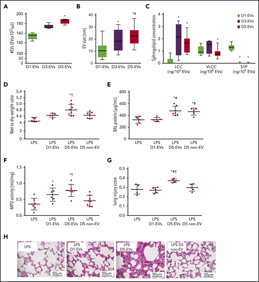 EVs form throughout platelet storage and elicit TRALI in LPS-primed mice. Group data show EV number (#EVs; A), EV size (B), and EV composition in terms of concentrations of LCC and VLCC chain length ceramide and S1P (C) for EVs of platelet pools stored for 1 (D1-EVs), 3 (D3-EVs), or 5 (D5-EVs) days. Wet-to-dry lung weight ratio (D), protein concentration in BAL (E), MPO activity in lung tissue (F), and histological features of lung injury (G) on a quantitative scale from 0 (no injury) to 1 (maximal) were determined in recipient BALB/c male mice 6 hours after transfusion of EVs. Mice were primed for 2 hours with LPS (2 mg/kg intraperitoneally) prior to transfusion of 10 mL/kg body weight of either normal saline (LPS group), EVs of platelet pools stored for 1 (D1-EVs) or 5 (D5-EVs) days, or day 5 platelet- and EV-depleted platelet pools (5 days non-EV). Representative images of hematoxylin-and-eosin–stained histological micrographs show progressive severity of lung injury with transfusion of EVs isolated from platelet pools with increasing storage time in LPS-primed mice. Scale bars, 50 μm (H). Group data for panels A-C are depicted as medians and 25% quartiles; n = 6-15 each, *P < .05 vs D1-EVs and #P < .05 vs D3-EVs (1-way analysis of variance and post hoc all pairwise Tukey test). Group data for panels D-G are given as mean ± SD; n = 5-8 each. *P < .05 vs LPS only, #P < .05 vs LPS plus D1-EVs and †P < .05 vs D5 non-EV (1-way analysis of variance and post hoc all pairwise Tukey test).