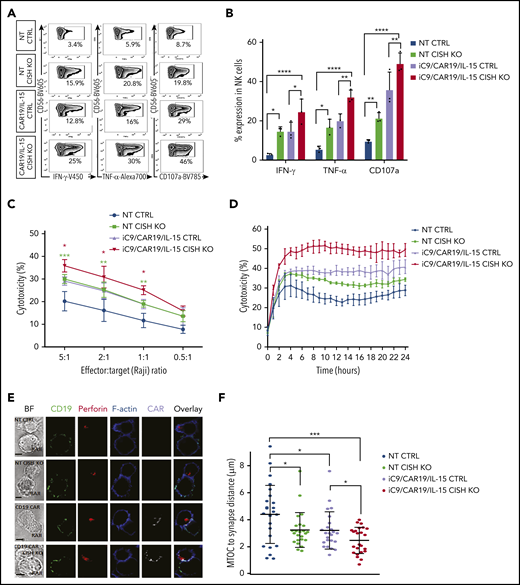 CISH deletion improves function and cytotoxicity of NT and iC9/CAR19/IL-15 NK cells. (A) Representative FACS plots of cytokine production (IFN-γ and TNF-α) and CD107a degranulation by NT control, NT CISH KO, iC9/CAR19/IL-15 control, or iC9/CAR19/IL-15 CISH KO NK cells after coculture with Raji target cells for 6 hours. Inset values indicate the frequency of IFN-γ–, TNF-α–, and CD107a-positive cells from each group. (B) Bar plots summarize the flow cytometry data on cytokine production (IFN-γ and TNF-α) and CD107a degranulation by NT control (blue bars), NT CISH KO (green bars), iC9/CAR19/IL-15 control (purple bars) or iC9/CAR19/IL-15 CISH KO NK cells (red bars) after coculture with Raji target cells for 6 hours (n = 3). Statistical significance is indicated as *P ≤ .05, **P ≤ .01, and ****P ≤ .0001; bars represent mean values with standard deviation. (C) Cytotoxicity of NT control, NT CISH KO, iC9/CAR19/IL-15 control, or iC9/CAR19/IL-15 CISH KO NK cells against Raji targets at different effector-to-target (E:T) ratios, as measured by 51Cr-release assay (n = 3). The bars represent mean values with standard deviation. The red asterisks represent the statistical significance between iC9/CAR19/IL-15 CISH KO vs iC9/CAR19/IL-15 control NK cells (*P ≤ .05). The green asterisks represent the statistical significance between NT CISH KO vs NT control NK cells (***P ≤ .001; **P ≤ .01). (D) Cytotoxicity of NT control, NT CISH KO, iC9/CAR19/IL-15 control, or iC9/CAR19/IL-15 CISH KO NK cells against Raji targets over 24 hours at 1:1 E:T ratio as measured by Incucyte live-imaging cell killing assay (n = 3). Bars represent mean values with standard deviation. At 10 hours, NT CISH KO vs NT control (P = .04), iC9/CAR19/IL-15 CISH KO vs iC9/CAR19/IL-15 control (P = .007). (E) Confocal microscopy showing representative synapse images of NT control, NT CISH KO, iC9/CAR19/IL-15 control or iC9/CAR19/IL-15 CISH KO NK cells conjugated with Raji cells. Images show conjugates in bright field (BF) or stained with anti-CD19 (green), anti-perforin (red), phalloidin-F-actin (blue), and anti-CAR (gray), and an overlay of fluorescence channels are also shown. (F) NT control, NT CISH KO, iC9/CAR19/IL-15 control, or iC9/CAR19/IL-15 CISH KO NK cells were assessed for their ability to polarize lytic granules to Raji cells as measured by distance from the MTOC to the IS. Results from 3 independent donors are shown. Each data point represents a single IS. Statistical significance is indicated as *P ≤ .05 and ***P ≤ .001.