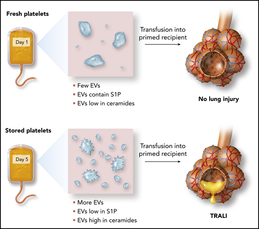 Effect of storage on the release of platelet EVs and their ceramide and S1P content and susceptibility to TRALI.