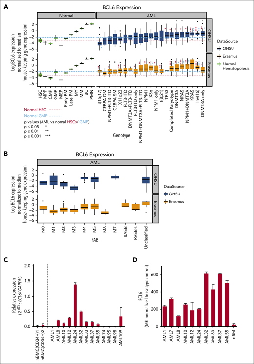 BCL6 expression in AML subclasses is heterogeneous. (A) BCL6 expression was compared between normal human hematopoietic cells (GSE42519 and human primary cell atlas) and human AML cells using 2 different AML cohorts. Using 2 independent cohorts of AML from Oregon Health & Science University (OHSU; 531 cases) and Erasmus (520 cases), BCL6 expression level normalized by housekeeping genes (RRN18S, ACTB, GAPDH, PGK1, PPIA, RPL13A, RPLP0, ARBP, B2M, YWHAZ, SDHA, TFRC, GUSB, HMBS, HPRT1, and TBP) was compared between molecular markers. Trends for biomarkers and BCL6 expression level were compared between 2 cohorts, each of which was compared with normal hematopoietic cells. Red and blue dotted lines are placed as a reference for the levels of expression for HSC and GMP, respectively. Statistical differences for BCL6 expression were calculated between each of the AML categories vs median values of either normal HSCs or GMPs. Asterisks represent the significance in either red or blue in comparisons vs HSCs or GMPs, respectively. (B) Expression level of BCL6 was compared in the same AML cohorts between different FAB subclasses. (C) Primary AML cells were subjected to quantitative reverse transcription polymerase chain reaction to compare expression levels of BCL6 either among primary AML cells or to reference normal donor blood cells. For primary AML specimens, bulk AML cells were subjected to blast purification (MACS sorting to exclude CD3 positive and CD19 positive cells), and BM cells were sorted for CD34 positive cells (using MACS). Relative expression of BCL6 was calculated by normalization to GAPDH (glyceraldehyde-3-phosphate dehydrogenase). Histograms represent averages of duplicates, and error bars are standard deviations. (D) Expression levels of BCL6 were analyzed by intracellular staining and flow cytometry. Expression levels of AML cells were compared vs those of normal BM cells. Mean fluorescence intensity (MFI) values were normalized to isotype control. Experiments were done in triplicates, and the mean from 3 independent experiments was plotted. Error bars indicate standard deviations. BC, band cell; CMP, common myeloid progenitor cell; MEP, megakaryocyte-erythroid progenitor cell; MM, metamyelocytes; MPP, multipotential progenitors; MY, myelocyte; nBMC (CD34+), CD34 positive normal bone marrow cells; PM, promyelocyte; PMN, polymorphonuclear cells.