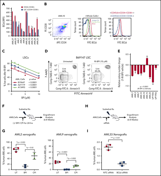 BCL6 inhibition ablates LSCs. (A) Measurement of expression levels of BCL6 in LSCs (CD45dim, CD34+, and CD38–) and blast cells (CD45dim, CD34+, and CD38+) were measured by intracellular staining and flow cytometry. Averages of absolute mean fluorescence intensity (MFI) values of PE-BCL6 are shown from triplicates, with standard deviations as error bars. (B) Representative flow cytometry data of the analysis done in (A). (C) Three different primary AML cells were treated with 10 μM RI-BPI for 48 hours, and percentages of dead cells were measured by using annexin V–fluorescein isothiocyanate (FITC) staining and flow cytometry. P values indicate significance of correlations between dose and percent live cells for each of the primary AML cells. (D) Representative flow cytometry density plots to compare untreated and RI-BPI treatment. (E) Primary AML cells were treated with 10 μM RI-BPI for 24 hours in duplicates, and colony numbers were counted after 14 days. Values were normalized to vehicle-treated controls. The data are plotted as mean of duplicates. Error bars indicate standard deviation. (F) Schematic illustration and (G) comparison of results in 2 different in vivo behaviors of AML cells treated with a BCL6 inhibitor. Two primary AML cells (AML2 and AML9) were subjected to 24 hours of ex vivo pretreatment with either RI-BPI (5 μM), control peptide inhibitor (CPI), or were untreated (UT). The treated cells were then injected into patient-derived xenograft recipient mice. Six to 8 weeks after the injection, percentages of human AML cells were monitored by measuring mCD45–, hCD45+, and hCD33+ cells in the BM aspirates. Schematic illustration (H) and comparison of results (I) of in vivo engraftment of AML cells transfected with BCL6 siRNA. BCL6 or nonspecific control siRNA transfected AML cells (AML33) were injected in mice. The plot shows the percentages of human AML cells in the presence or absence of BCL6 knockdown. Rx, radiation.