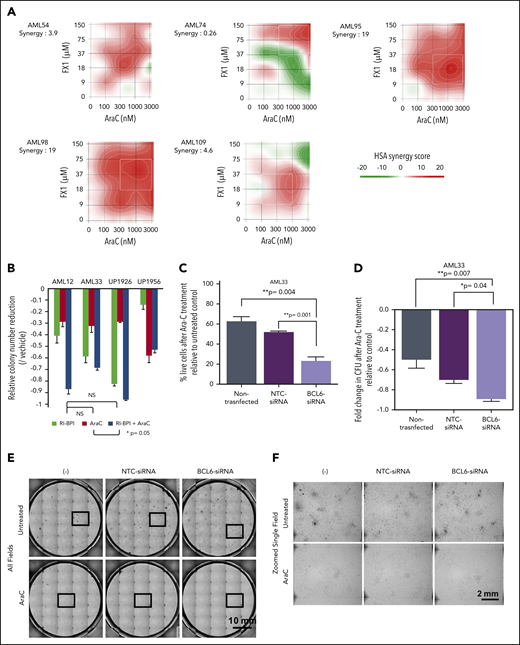 Combination of BCL6 inhibitor and AraC mediates synergistic effects. (A) Five primary AML specimens (AML54, AML74, AML95, AML98, and AML109) were subjected to ex vivo combination therapy using AraC and FX1 with various combinations of limiting dilution assay. Matrices indicate calculated synergy scores obtained from each pair of combination doses. Synergy scores were calculated by using SynergyFinder software. The highest single agent (HSA) algorithm was used to calculate synergy scores, and color keys indicate the scores in heatmaps. (B) Colony formation assay in primary AML cells treated with AraC, BPI, or combination of both. Statistical significance between each of the conditions was calculated by one-way analysis of variance. (C) Evaluation of cell deaths in primary AML cells (AML33) treated with AraC in the presence or absence of siRNA-induced BCL6 knockdown. Primary AML cells (AML33) were transiently transfected with control or BCL6 siRNA; the cells were then treated with AraC in duplicates. Relative percent dead cells were calculated by normalization to untreated cells. Comparing the relative percent dead cells vs that of parental AML33 cells treated with AraC, the increase of dead cells with each siRNA is presented as relative values. Averages were obtained from duplicates, and error bars represent standard deviations. (D) The same series of primary AML33 cells as (C) were subjected to colony formation assays after 24 hours of ex vivo treatment with AraC. The number of colonies was evaluated after 14 days. Colony counts were compared between untreated and AraC treatment to obtain relative colony numbers, and relative colony number reductions were obtained by comparing the relative values vs parental AML cells. In (C) and (D), statistical significance was evaluated by using an unpaired Student t test. (E) Representative photographs of colony formation assays. Thirty-five (7 × 5) pictures of single fields were tiled to show entire views of each plate. (F) Representative fields marked by the box in (E) were presented in zoomed views. CFU, colony-forming unit; NS, not significant; NTC, nontargeting control.