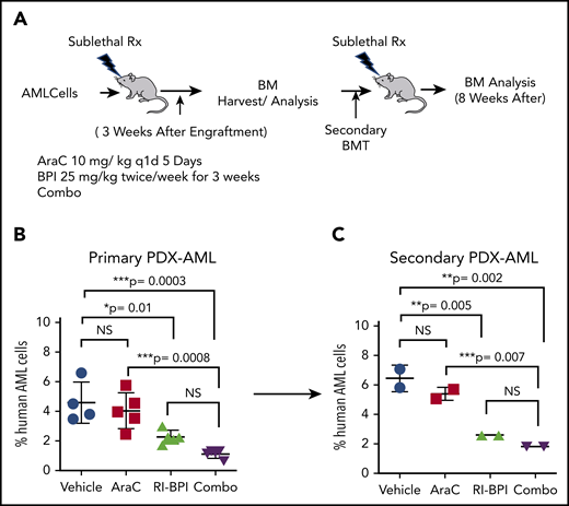 Combination therapy using BCL inhibitor and AraC. (A) Schematic illustration of serial BM transplantation (BMT) assay. (B) Primary AML cells were transplanted in recipient mice and treated with AraC (10 mg/kg), BPI (25 mg/ kg), or in combination for 3 weeks after confirming engraftment. Percent human AML cells in each arm was compared. (C) BM cells were harvested and transplanted into new recipient mice (secondary transplant). NS, not significant; PDX, patient-derived xenograft.