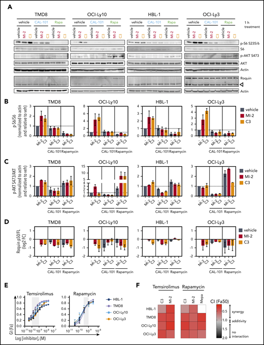 MALT1/MTORC1 combinations are highly synergistic against ABC-DLBCL. (A) ABC-DLBCL cell lines were treated for 1 hour with MI-2 (250 nM), C3 (1 μM), CAL-101 (1 μM), rapamycin (Rapa; 1 nM), or their combinations, as indicated, and proteins were extracted. Levels of phosphorylated and total proteins were evaluated by western blot. (B-D) Quantification of p-6/S6 levels (B), p-AKT/AKT levels (C) and Roquin p50/full length (D) for experiments in (A), respectively. Protein levels were normalized to actin and are relative to the average of vehicle-treated cells. Data are average ± standard error of the mean (SEM) of ≥2 independent experiments. (E) Dose response for temsirolimus (left panel) and rapamycin (right panel) in 4 ABC-DLBCL lines. Gray shaded area represents on-target dose. (F) Heat map of CIs at fraction affected 50% (Fa50) for C3 or MI-2 with temsirolimus or rapamycin in the indicated cell lines. (G-H) ZIP δ-score synergy plots for rapamycin in combination with MI-2 (G) or C3 (H) in the indicated cell lines and primary ABC-DLBCL specimens treated ex vivo in 3D organoids. *P < .05, **P < .01, ***P < .001, 1-way analysis of variance corrected for multiple comparisons 5% FDR. ns, not significant (P > .05).