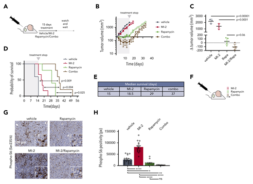 MTORC1-MALT1i combination promoted ABC-DLBCL regression in vivo. (A) Experimental scheme of the in vivo MI-2/rapamycin combination experiment. (B) Tumor growth curve for TMD8 xenografts (n = 5 per group). Mice were treated with vehicle, 25 mg/kg per day of MI-2, 1 mg/kg per day of rapamycin, or their combination for 15 days. (C) Change in tumor volume at day 15 compared with day 0 for each mouse. The p values were determined using analysis of variance and Tukey's multiple-comparisons test. (D) Survival curves for mice in (B). The P values were calculated using log-rank Bonferroni-Hochberg-adjusted survival analysis. (E) Median survival for the different treatment groups in (D). (F) Dosing schedule for a short-term experiment to evaluate the effect of the combinations in signaling. Arrows, dosing event. (G) Immunohistochemistry was used to study p-S6-S235/6 levels in TMD8 xenografted mice that were treated twice (28 hours) with the indicated inhibitors and their combinations, as indicated in (F). Samples were stained with anti-phospho-S6 antibody. (H) p-S6-S235/6 levels in TMD8 xenografted tumors treated with the indicated drugs and combinations. Data correspond to 5 high-powered fields per tumor in 3 or 4 mice per treatment group. *P < .05, **P < .01, ****P < .0001. ns, not significant (P > .05).