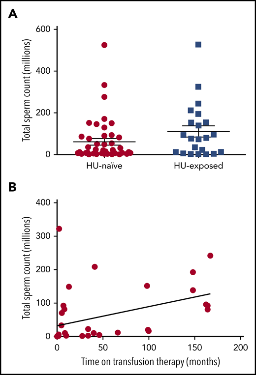 The total sperm count in HU-exposed and HU-naïve male patients with SCD. (A) The relationship between transfusion and semen parameters. (B) The graph shows the positive correlation between the total sperm count of individual semen samples and the duration of transfusion therapy before semen analysis in all transfused patients. (Spearman’s r = 0.4725; P = .0042).