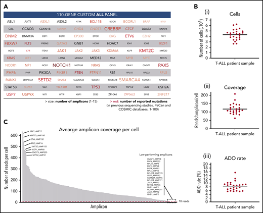 Custom ALL panel coverage and metrics of patient samples processed with the Tapestri platform for single-cell DNA sequencing. (A) The 110 genes included in the custom 305 amplicon ALL panel, which covers reported mutational hotspots (SNVs and small indels) in acute lymphoblastic leukemia. The text size is proportional to the number of amplicons per gene. The red color gradient is proportional to the number of reported mutations in previous sequencing studies that are covered by the panel amplicons of that gene. The number of reported mutations in ALL was according to the Pediatric Cancer Mutation (PeCan) and Catalogue of Somatic Mutations In Cancer (COSMIC) databases at the time of panel design. Genes with few reported mutations, 1 to 5, are denoted in gray. Details of the genomic regions covered in the custom ALL panel are in supplemental Table 3. (B) Total number of sequenced cells (i), average reads per amplicon per cell (ii), and average allele dropout rate (ADO, iii) per sample. Each point represents a sample (n = 25) from 1 of the 8 T-ALL patients. Median value is shown by a horizontal line. Detailed sample and sequencing metrics are in supplemental Table 2 and ADO details are in supplemental Table 5. (C) Bar plot with the distribution of sequencing reads across the 305 amplicons. Each bar represents an amplicon, and the height of the bar shows the average number of raw sequenced reads per cell (n = 25 samples). Amplicon name is shown for the 8 amplicons with highest coverage (left) and for the 16 lowest performing amplicons (right), which are below the minimum coverage of 10 reads (dashed red horizontal line). Amplicon coverage distribution per sample is in supplemental Table 4.