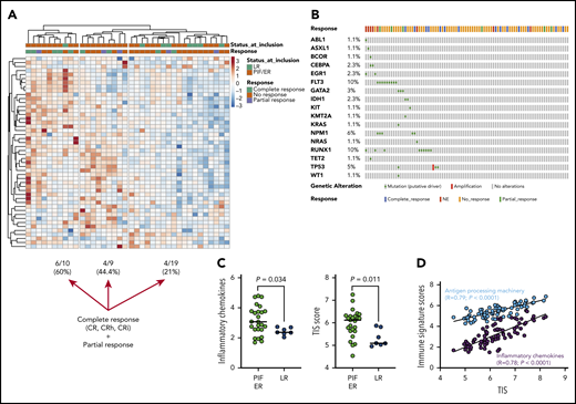 The TME in patients receiving flotetuzumab immunotherapy. (A) Unsupervised hierarchical clustering (Euclidean distance, complete linkage) of immune cell type–specific scores and biological activity scores in baseline BM samples from 38 patients with R/R AML treated with flotetuzumab immunotherapy (color-coded per the legend). ClustVis, an online tool for clustering of multivariate data, was used for data analysis and visualization.40 The immune landscape from 29 of the 38 patients in this cohort has been presented in a previous publication.9 (B) OncoPrint plot summarizing the molecular profile of patients receiving flotetuzumab immunotherapy. The plot was generated using cBioPortal for Cancer Genomics (https://www.cbioportal.org/). (C) Inflammatory chemokine score and tumor-inflammation signature (TIS) score in baseline BM samples from patients with R/R AML. PIF, n = 25; LR AML, n = 7; HMAs, n = 6. Data were compared using the Kruskal-Wallis (KW) test for unpaired determinations. (D) Correlation between the TIS score and antigen processing machinery and inflammatory chemokine scores in baseline BM samples from patients with R/R AML. Spearman rank correlation coefficients and P values are shown. NE, not evaluable.