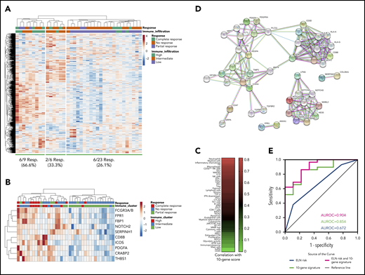 The TME in patients receiving flotetuzumab immunotherapy. (A) Unsupervised hierarchical clustering (Euclidean distance, complete linkage) of immune gene expression (n = 770 genes in the NanoString’s PanCancer IO360 panel) in baseline BM samples from 38 patients with R/R AML treated with flotetuzumab immunotherapy (color-coded per the legend). Complete responses were defined as either CR, CRh, CRi, or MLFS at the end of cycle 1. PRs were defined as >50% decrease in BM blasts from baseline or decrease to 5% to 25% BM blasts at the end of cycle 1. ClustVis, an online tool for clustering of multivariate data, was used for data analysis and visualization.40 (B) Expression of the top 10 genes associated with complete response to flotetuzumab (CR, CRh, CRi). A ranked gene list (χ2 values) was generated using the Orange3 software package (version 3.25.0). Unsupervised hierarchical clustering (Euclidean distance, complete linkage). The immune cluster was defined as previously detailed.9 (C) Heatmap summarizing the correlation coefficients (color-coded per the legend) between our 10-gene signature score and immune cell type–specific and biological activity signature scores in baseline BM samples from patients with R/R AML. (D) Analysis of functional protein association networks using STRING (https://string-db.org/). Top 20 molecules interacting with the top 10 genes in our signature are shown together with their predicted mode of action (highest confidence interaction scores > 0.900). Network nodes (query proteins) represent proteins produced by a single protein-coding gene locus. White nodes represent second shells of interactors. Empty and filled nodes indicate proteins of unknown or partially known 3-dimensional structure, respectively. Edges represent protein-protein associations. Line shapes denote predicted modes of action. (E) AUROC curve measuring the predictive ability of the 10-gene signature score for antileukemic activity from flotetuzumab. Standard errors and confidence intervals are provided in supplemental Table 11. AUROC = 1.0, perfect prediction; AUROC = 0.5, no predictive ability.