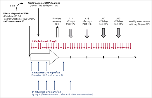The CAPLAVIE regimen. ADAMTS13 activity was assessed weekly until normalization or day 56.