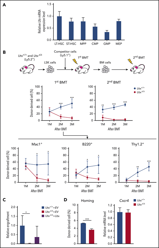 Expression of Utx in HSPCs, analysis of repopulating activity of UtxΔ/ΔHSPCs, and homing ability of UtxΔ/ΔHSPCs. (A) Relative expression levels of Utx in hematopoietic stem and progenitor subfractions. The results are shown relative to levels in LT-HSCs. (B) Experimental procedure for serial competitive repopulation experiments (top). Percentages of donor-derived cells in the PB of recipients of Utx+/+ or UtxΔ/Δ cell transplants at first and second BMTs. Percentages of lineage-committed, donor-derived cells in the PB of recipients at first BMT (bottom). *P < .05; **P < .01; ***P < .001. (C) Engraftment of Utx+/++EV, UtxΔ/Δ+EV, and UtxΔ/Δ+Utx cells at 3 months after transplantation. The percentages of donor-derived cells in the PB are shown relative to that of Utx+/++EV. *P < .05. (D) Homing ability (left) and expression (right) of Cxcr4 in Utx+/+ and UtxΔ/Δ cells. ***P < .001.