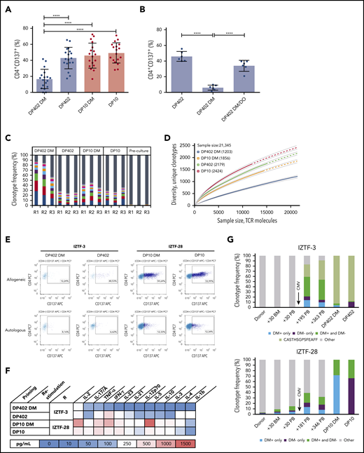 HLA-DM–mediated modulation of alloreactive T-cell responses to HLA-DP in healthy individuals and transplanted patients. (A-B) Activation of CD4+ T cells from healthy HLA-DP401+ individuals in response to permissive HLA-DP402 (blue dots) or nonpermissive HLA-DP10 (red dots). Shown is the percentage of activated (CD137+) CD4+ T cells after restimulation with HeLa-DP as indicated (see also supplemental Figure 1). Values are reported after subtraction of background activation against HeLa-DP expressing the autologous allotype in the presence of HLA-DM. Statistical comparisons by 1-way ANOVA. ***P < .001, ****P < .0001. (A) CD4+ T cells from healthy individuals (n = 18) were cocultured and restimulated with the same allogeneic HLA-DP/HLA-DM combination as indicated. Mean ± SD percentage autologous background was 7.63 ± 4.65. (B) CD4+ T cells from healthy individuals (n = 6) were cocultured with HLA-DP402 without HLA-DM and restimulated with allogeneic HLA-DP/HLA-DM/HLA-DO combinations as indicated. Mean ± SD percentage autologous background was 16.0 ± 9.6. (C-D) The alloreactive TCRβ repertoire of activated CD4+CD137+ T cells in representative healthy individuals from panel A, characterized by next-generation sequencing. (C) Relative frequency of top-10 or background clonotypes in 3 responders (R1-R3), indicated as colored or gray bars, respectively. (D) Rarefaction curves of TCRβ clonotypes in R1 (R2 and R3 in supplemental Figure 7). Curves are interpolated from 0 to the size of each sample (solid lines) and extrapolated to the size of the largest sample (dashed lines). Numbers in the legend indicate unique clonotypes in each repertoire at the maximum sample size. (E-G) CD4+ T-cell activation and alloreactive TCRβ repertoire in transplanted patients after HCT from UDs mismatched for permissive HLA-DP402 (IZTF-3) or nonpermissive HLA-DP10 (IZTF-28). Full donor CD4+ T cells were isolated from the patients’ peripheral blood at days 363 and 346, respectively (supplemental Table 1), and used for coculture and restimulation with HeLa-DP expressing the mismatched allotype in the presence or absence of HLA-DM. (E) Fluorescence activated cell sorting plots of CD137 activation assays. Specific percentages of alloresponses with or without HLA-DM was 3.87 and 41.91 (IZTF-3) or 41.82 and 47.84 (IZTF-28). (F) Heatmap of cytokine production. Background response to autologous HLA-DP was <100 pg/mL. (G) Alloreactive CD4+ TCRβ clonotypes after in vitro culture (2 rightmost bars) were traced ex vivo in peripheral blood or bone marrow from the patients or their respective UD at the indicated time points. Shown is the cumulative frequency of TCRβ clonotypes found only in the presence (blue) or absence (purple) of HLA-DM, or in both (green), with an expanded clonotype in IZTF-3 in lighter green. Both patients experienced early CMV reactivation as indicated. BM, bone marrow; IL, interleukin; PB, peripheral blood.