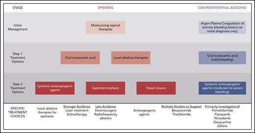 Stepwise approach to bleeding management in HHT advocated in the Second International HHT Guidelines.