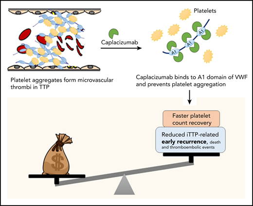 Costs vs benefits of caplacizumab for TTP. In TTP, platelets form aggregates by binding to ultra-large multimers of VWF; these aggregate form microthrombi that lead to ischemic organ damage. Caplacizumab is a nanobody directed against domain A1 of VWF, which prevents VWF-platelet interactions, leading to faster resolution of thrombocytopenia in TTP. In clinical trials, adding caplacizumab to standard-of-care therapy led to faster time to platelet count recovery (and reduced duration of plasma exchange and hospitalization, as well as a reduction in the composite endpoint of iTTP-related death, recurrence, and major thromboembolic events, which was driven primarily by the reduction in early recurrences). However, the current analysis demonstrates that caplacizumab is not cost effective at its current list price in the United States.