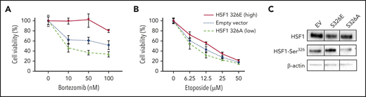 Reproduction HSF1-pSer326 sensitivity to BTZ in 293T cells. To assess the effect of high and low HSF1-pSer326 expression on BTZ (A) and etoposide (B) sensitivity, 293T cells were transfected with two HSF1-pSer326 mutants that mimicked high (solid line) and low (dashed line) HSF1-pSer326 patients, in addition to an empty vector as control (dotted line). (C) Effect of the 2 mutants on HSF1-pSer326 protein expression was confirmed by using western blot analysis.