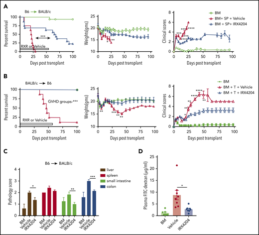 IRX4204 reduces intestinal damage and attenuates acute GVHD. (A) Survival, weights, and clinical scores of lethally irradiated BALB/c recipients of 107 B6 non-TCD BM cells, with or without 5 × 106 B6 splenocytes (SPL; n = 15−16 per group). Recipients were treated IP with either vehicle or IRX4204 from day 0 to 56 after transplantation. IRX4204-treated recipients survived longer than vehicle-treated recipients. Data are combined from 2 experiments. (B) Survival, weights, and clinical scores of lethally irradiated B6 recipients of 107 BALB/c NTCD BM cells, with or without 1.5 × 106 CD25- BALB/c T cells (n = 8/group). Recipients were treated with vehicle or IRX4204 from day 0 to 56. IRX4204-treated recipients survived longer than those receiving vehicle. (C) Histopathological scores of BALB/c recipients on day 7 after transplantation (n = 4-6 per group). (D) Plasma FITC-dextran concentration of BALB/c recipients on day 7 after transplantation (n = 7-8/group). *P < .05; **P < .01; ***P < .001; ****P < .0001.