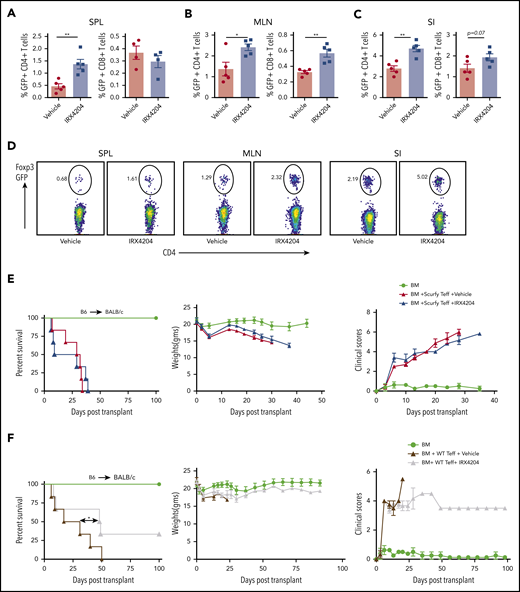 Effects of IRX4204 in acute GVHD depends on pTreg generation. (A-C) Lethally irradiated BALB/c recipients were infused with 107 B6 NTCD BM cells and 1 × 106 flow cytometry–sorted GFP− T cells from B6 Foxp3 GFP KI mice. Recipients were injected with either vehicle or IRX4204 IP daily. The frequency of GFP+ T cells (pTregs) was determined in recipient spleens (SPL; A), MLNs (B), and SI (C) 2 weeks after transplantation. (D) Representative flow cytometry plots showing Foxp3 expression in donor CD4+ cells from GVHD mouse SPL), MLN, and SI, treated with either vehicle or IRX4204. (E-F) Lethally irradiated BALB/c recipients were infused with 107 B6 NTCD BM cells and 1 × 106 purified B6 scurfy or WT CD25− T cells isolated from scurfy chimeras and WT mice, respectively. Recipients were injected daily IP with either vehicle or IRX4204. Survival plots, weights, and clinical scores of scurfy (E) and WT (F) are shown. One experiment was performed in n = 5-6 per group. *P < .05; **P < .01.