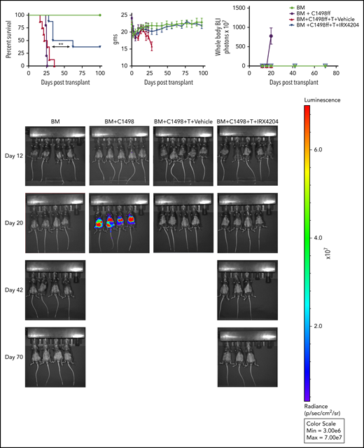 IRX4204 inhibition of acute GVHD did not abrogate GVL responses. Lethally irradiated B6 recipients were received 107 BALB/c T-cell–depleted BM, with or without B6 C1498ff (3 × 104), with or without 1.5 × 106 BALB/c CD25− T cells. Recipients were treated IP with either vehicle or IRX4204 from day 0 to 56 after transplantation. Survival, weights, and BLI graph are shown. Tumor growth was monitored with BLI on the days indicated. BLI images are shown (n = 5-8 per group). One experiment was performed. **P < .01.