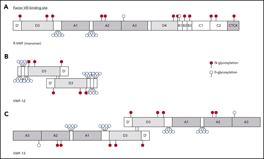 Schematic representation of recombinant constructs. (A) Simplified domain structure of mature fl-VWF monomer. The FVIII-binding site in the D′D3 domains is indicated above. O- and N-linked glycosylation is indicated by open and full circles, respectively. (B) VWF-12 is a dimer of the D′D3 domains and 3 repeats of a 31-aa fragment downstream of D3 that is rich in O-linked glycosylation sites. (C) VWF-13 dimer contains the D′D3 and A1-A2-A3 domains of VWF. CTCK, C-terminal cystine knot.