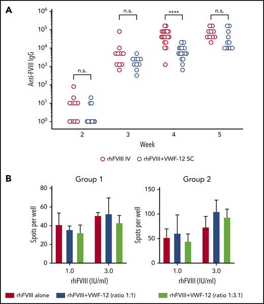 Anti-FVIII antibody formation and restimulation of FVIII-specific memory B cells. (A) F8−/− mice received 4 doses (weeks 1-4) of rhFVIII IV or rhFVIII+VWF-12 subcutaneous (200 IU/kg, 20 mice per group). Anti-FVIII IgG titers were determined by ELISA. Results are shown for individual mice as scatter plots on a logarithmic scale. Data were analyzed by 2-way ANOVA with Bonferroni correction for multiple comparisons. ****P < .0001. (B) Splenocytes from rhFVIII-immunized mice were restimulated with rhFVIII (1 or 3 IU/ml) in the absence or presence of VWF-12 in different molar ratios. Mean ± SD are shown from 2 independent experiments (group 1 and 2), each with 3 mice per group and triplicate analysis of pooled cells.