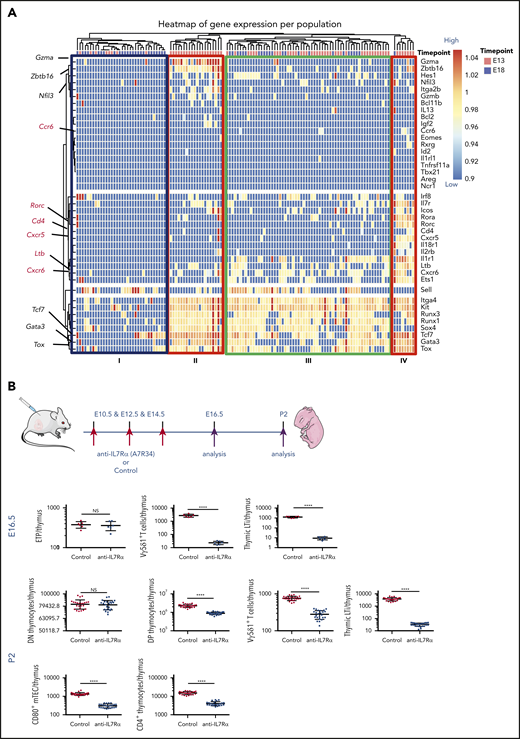 E13 ETPs have a transcriptional LTi signature and are required for the maturation (CD80+) of mTECs. (A) Single-cell multiplex qPCR analyzed by hierarchical clustering of single E13 and E18 ETPs (80 cells each) for the expression of ILC lineage-specific transcripts (right margin). Each column represents a cell (E13 ETP in salmon, E18 ETP in blue) and each row represents 1 gene (of 41 genes). Highlighted are ILC-associated transcripts (black) and LTi-associated transcripts (in red). Analysis was done by normalizing expression to 2 independent housekeeping genes (Gapdh and Actinb) in R package Phenograph as in Perchet et al63 and represented in a code color where red represents high expression and blue low expression. Data are pooled from 2 independent experiments. (B) Pregnant female mice were injected at E10.5, E12.5, and E14.5 with 1 mg of anti-IL-7Ra antibody A7R34 (red arrows indicate time points of anti–IL-7Ra injections and purple arrows indicate time points of analysis). Thymic lobes were analyzed at E16.5 for the presence of ETP (Lin−CD117+CD44+CD24low), for Vγ5Vδ1 γδT cells, and for LTi (CD127+CCR6+TcR−CD3− cells) (n = 6), or at P2 for the presence of DN (CD4−CD8−γδ−), DP(CD4+CD8+), CD4+ thymocytes, and of Vγ5Vδ1 γδT cells, for LTi (CD127+CCR6+TcR−CD3− cells), and for CD80+ mTECs (EpCAM+Ly51−UEA.1+CD45−) (n = 24). Plots show numbers of the respective populations per thymus. Data from 2 independent experiments. ****P < .0001.