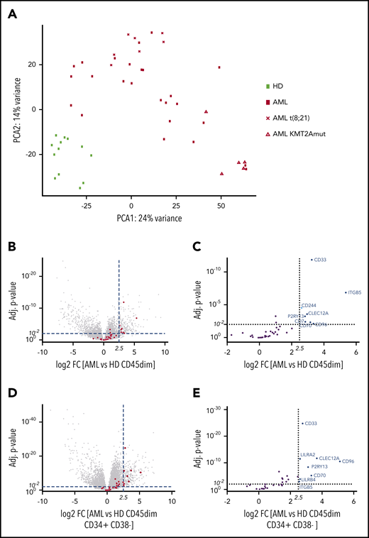 Pediatric AML clusters by RNA sequencing from healthy hematopoietic progenitors and overexpresses AML immunotargets such as CD33 and CLEC12A. (A) PCA of 49 samples by RNA sequencing, including 36 AML samples and 13 healthy hematopoietic progenitors. Samples cluster according to disease status, while t(8;21) and KMT2A-mutated samples form clusters within AML samples. One myelodysplastic syndrome–associated AML sample was excluded from this PCA. (B) Volcano plot of all differentially expressed genes with >100 base mean expression according to DESe2 analysis in healthy CD45dim hematopoietic progenitors and pediatric AML samples. AML immunotargets described by Perna et al9 are depicted by red dots. Dotted lines illustrate cutoff values of log2 fold change of 2.5 (22,5 ∼5.6) and adjusted P < .01 to define significantly highly enriched genes in sorted AML blasts. (C) Volcano plot detailing differential expression of 35 AML immunotargets described by Perna et al in pediatric AML blasts. (D) Volcano plot of all differentially expressed genes with >100 base mean expression according to DESeq2 analysis in healthy CD45dimCD34+CD38− and pediatric AML samples. AML immunotargets described by Perna et al9 are depicted by red dots. Dotted lines illustrate cutoff values of log2 fold change of 2.5 (22,5∼5.6) and adjusted P < .01 to define significantly highly enriched genes in sorted AML blasts. (E) Volcano plot detailing differential expression of 35 AML immunotargets described by Perna et al in pediatric AML blasts. FC, fold change; HD, healthy donor; mut, mutated.