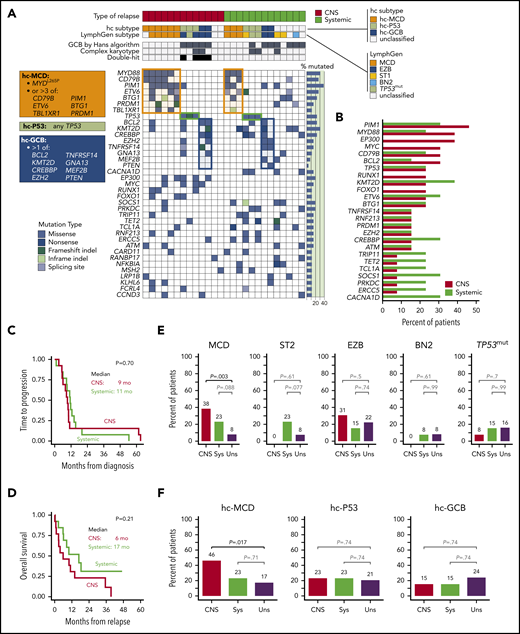 Clinicopathologic characteristics, mutations, and prevalence by lymphoma subtypes. (A) Clinicopathologic characteristics and mutations in patients with CNS or systemic (non-CNS) recurrence of DLBCL. Tumors were grouped into genomic subtypes according to the LymphGen classifier and hc. Boxes list definitions of the hc subgroups, and respective clusters are highlighted in the heatmap; only genes mutated in >10% patients are included. (B) Prevalence of mutated genes in groups with CNS or systemic (non-CNS) recurrence. Only genes mutated in >10% patients are included; no single gene was associated with CNS recurrence after adjustment for multiple testing. (C) Time from diagnosis to progression, stratified by type of recurrence. Median time to recurrence was 10 months (95% confidence interval, 8-11) and did not significantly differ between groups (log-rank P = .70). (D) Overall survival after recurrence. Median survival was shorter for patients with CNS recurrence (6 vs 17 months), but the difference was not statistically significant (log-rank P = .21). (E) Comparison of prevalence of specific LymphGen-determined DLBCL subtypes between patients with CNS or systemic-only (Sys) recurrence and unselected (Uns) DLBCL cases from 2 aggregated cohorts (N = 462)9,12,17; the MCD subtype was significantly more prevalent among patients with CNS recurrence (38% vs 8%, P = .003), whereas no CNS-relapsed tumor classified as ST2 or BN2 subtype. (F) Comparison of DLBCL subtypes defined by the hc between patients with CNS or systemic-only (Sys) recurrence and unselected DLBCL cases (Uns); the hc-MCD subtype was significantly more prevalent in tumors with CNS recurrence (46% vs 17%, P = .017), whereas other subtypes did not differ between groups.