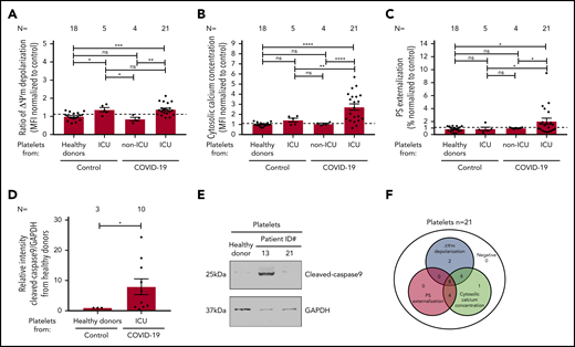 Platelet apoptosis in COVID-19 patients. (A-C) Changes in apoptosis pathways were analyzed by assessing the depolarization of the ΔΨm (A), cytosolic calcium concentration (B), and PS externalization (C) in platelets from COVID-19 patients in the ICU or COVID-19 patients not in the ICU, as well as ICU non–COVID-19 patients (control group) and healthy donors, respectively. (D) Quantification of cleaved-caspase 9 level in platelets from COVID-19 patients in the ICU normalized to healthy donors. (E) Representative western blot showing GAPDH and cleaved-caspase 9 proteins in platelets from COVID-19 patients in the ICU. Protein bands were detected with the infrared imaging system (Odyssey, LI.COR, Lincoln, NE). (F) Diagram indicating the number of COVID-19 patients in the ICU positive for each apoptotic parameter: ΔΨm depolarization, cytosolic calcium concentration, and PS externalization. Data are presented as mean ± standard error mean (SEM) of the measured fold increase compared with control. Not significant, *P < .05, **P < .01, ***P < .001, ****P < .0001. The number of patients and healthy donors tested is reported in each graphic. Dashed lines represent the cutoffs determined from healthy donors as mean of fold increase (FI) + 2× SEM.
