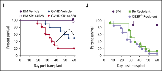 Absence of donor CB2R expression exacerbates the severity of acute GVHD. (A) Percentage of CD4+ and CD8+ T cells in the spleen of wild-type (WT; n = 5) and CB2R−/− (n = 6) mice. (B-C) Percentage of CD4+ Foxp3+, naïve (CD62Lhi CD44lo), central memory (CD62Lhi CD44hi), and effector memory (CD62Llo CD44hi) CD4+ T cells (B) and naïve, central memory, and effector memory CD8+ T cells (C) in the spleen of WT B6 and CB2R−/− mice. Data are cumulative results from 5 to 6 mice per group and are presented as the mean ± standard deviation. (D) Representative dot plots of CD4+ and CD8+ T-cell populations are shown together with the gating approach that was used for the data in panels B and C. (E) Lethally irradiated (900 cGy) Balb/c recipients received transplants of bone marrow (BM) alone from B6 mice (5 × 106; n = 9) or BM and spleen cells (adjusted to yield an αβ T-cell dose of 0.6 × 106 cells) from B6 (n = 15) or CB2R−/− (n = 15) animals. Overall survival is depicted. Results are from 3 experiments. (F) Lethally irradiated (1100 cGy) FVB mice received transplants of B6 BM alone (n = 9), B6 BM and spleen cells (n = 17), or CB2R−/− BM and spleen cells (n = 19; adjusted to yield an αβ T-cell dose of 0.85 × 106 cells). Overall survival is depicted. Results are from 3 experiments. (G-H) Lethally irradiated Balb/c mice were transplanted with BM and spleen cells (adjusted to yield an αβ+ T-cell dose of 0.6 × 106 to 0.8 × 106) from B6 or CB2R−/− animals. Animals receiving transplants of B6 BM alone served as controls. The absolute numbers of CD4+ and CD8+ T cells in the colon, liver, and lung 14 days posttransplantation are depicted in panel G (n = 12-20 per group), and absolute numbers of CD4+ or CD8+ interferon-γ–positive (IFN-γ+) T cells in the same organs are shown in panel H (n = 9-15 per group). Data are presented as the mean ± SD. Results are from 3 to 4 experiments. (I) Irradiated Balb/c recipients received transplants of B6 BM and spleen cells (adjusted to yield an αβ T-cell dose of 0.8 × 106 cells). Animals were treated with the CB2R antagonist SR144528 (3 mg/kg; n = 10) or an equivalent amount of vehicle (n = 10) for 14 days beginning on the day of transplantation. Balb/c mice receiving transplants of B6 BM alone and then treatment with either vehicle (n = 6) or SR144528 (n = 3) served as controls. Results are from 2 experiments. (J) Lethally irradiated (1100 cGy) B6 (n = 15) or CB2R−/− (n = 15) animals received transplants of Balb/c BM and spleen cells (adjusted to yield an αβ T-cell dose of 5 × 106 to 5.5 × 106 cells). Balb/c mice receiving transplants of B6 BM alone (n = 9) served as controls. Results are from 3 experiments. *P < .05, **P < .01, ****P < .0001. TCR, T-cell receptor.