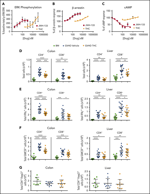 THC reduces proinflammatory T-cell accumulation in GVHD target organs. (A-C) PathHunter Chinese hamster ovary (CHO)-K1 CNR2 cells stably expressing the human CB2 receptor were used for signaling assays. Ratio of phosphorylated ERK (p-ERK) to total ERK (A), percentage of β-arrestin recruitment (B), and inhibition percentage of forskolin-induced cyclic adenosine monophosphate (cAMP) production (C) as a function of varying concentrations of JWH-133 and THC are depicted. The 50% effective concentration/50% inhibitory concentration and maximum effect values calculated from these curves are reported in Table 1. Symbols in panels A to C represent the mean from 3 to 6 determinations per assay. Lines drawn are the least squares best fit of the data to the nonlinear, 3-parameter log concentration-response relationship, where bottom (for p-ERK/ERK and β-arrestin) or top (for cAMP) values were constrained to 100. (D-G) Lethally irradiated Balb/c recipients received transplants of B6 BM and spleen cells (adjusted to yield an αβ T-cell dose of 0.85 × 106 to 0.9 × 106 cells). Animals were treated with THC (20 mg/kg; n = 9-14) or vehicle control (n = 10-15) for 21 days beginning on day 0. Balb/c mice receiving transplants of B6 BM alone served as controls (n = 7-10). The total numbers of CD4+ and CD8+ T cells in the colon and liver 21 days posttransplantation are shown in panel D. The absolute numbers of CD4+ or CD8+ T cells that produced IFN-γ (E) or GM-CSF (F) are depicted in these tissue sites. Total numbers of CD4+ Foxp3+ T cells in the colon or liver (G). Data are presented as the mean ± standard deviation and are cumulative results from 2 to 3 experiments. *P < .05, **P < .01, ***P < .001, ****P < .0001.